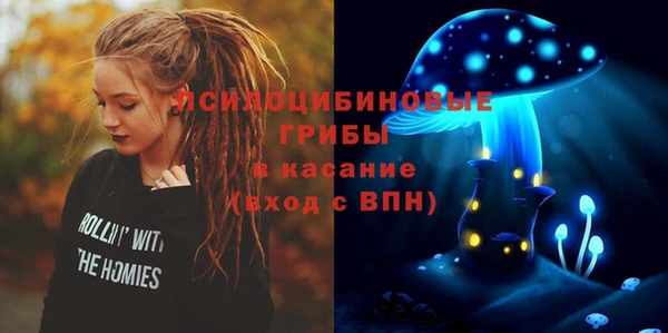 дмт Елабуга