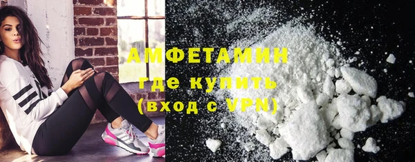 шишки Гусь-Хрустальный