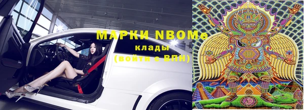 гидра Алексин