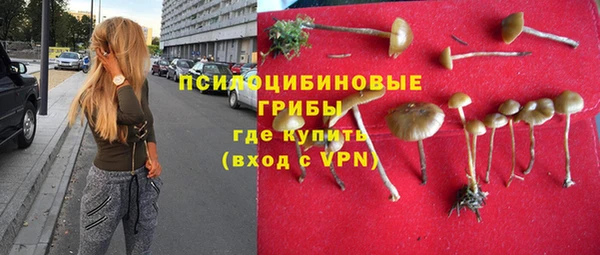 амфетамин Алексеевка