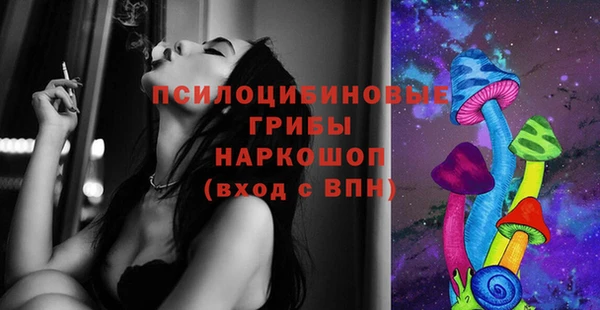 гидра Алексин