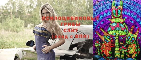 PSILOCYBIN Гусев