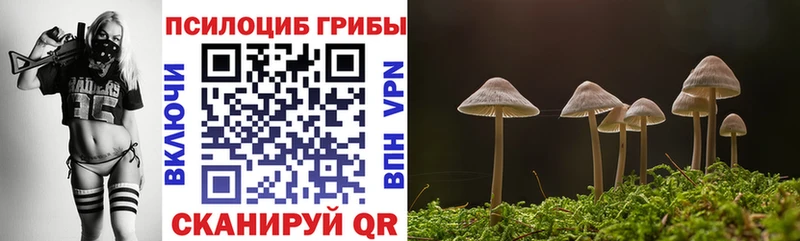 Псилоцибиновые грибы мухоморы  mega как зайти  Старый Оскол 