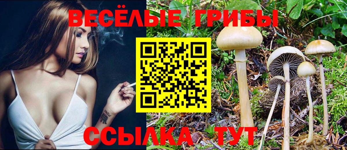 Галлюциногенные грибы Magic Shrooms Старый Оскол
