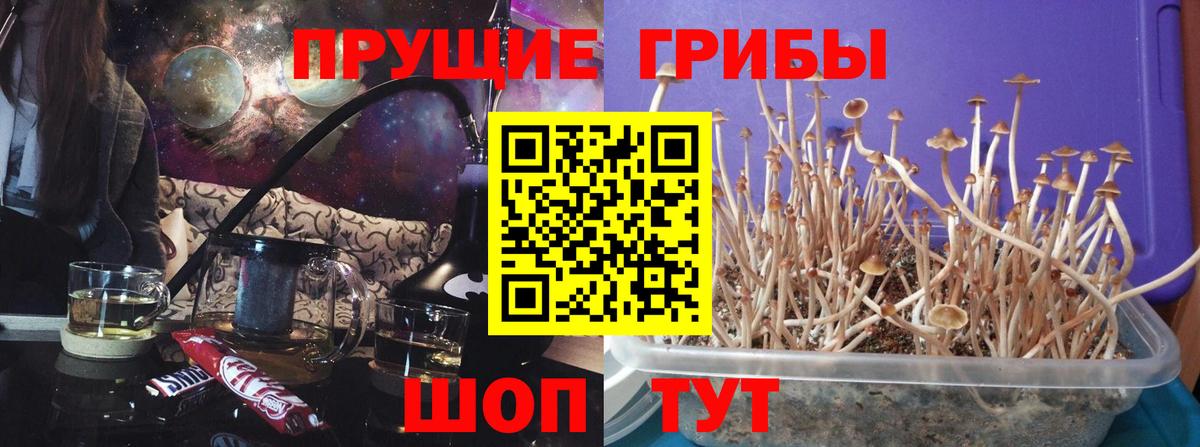 наркошоп  Вход с VPN  Старый Оскол  Псилоцибиновые грибы мухоморы 
